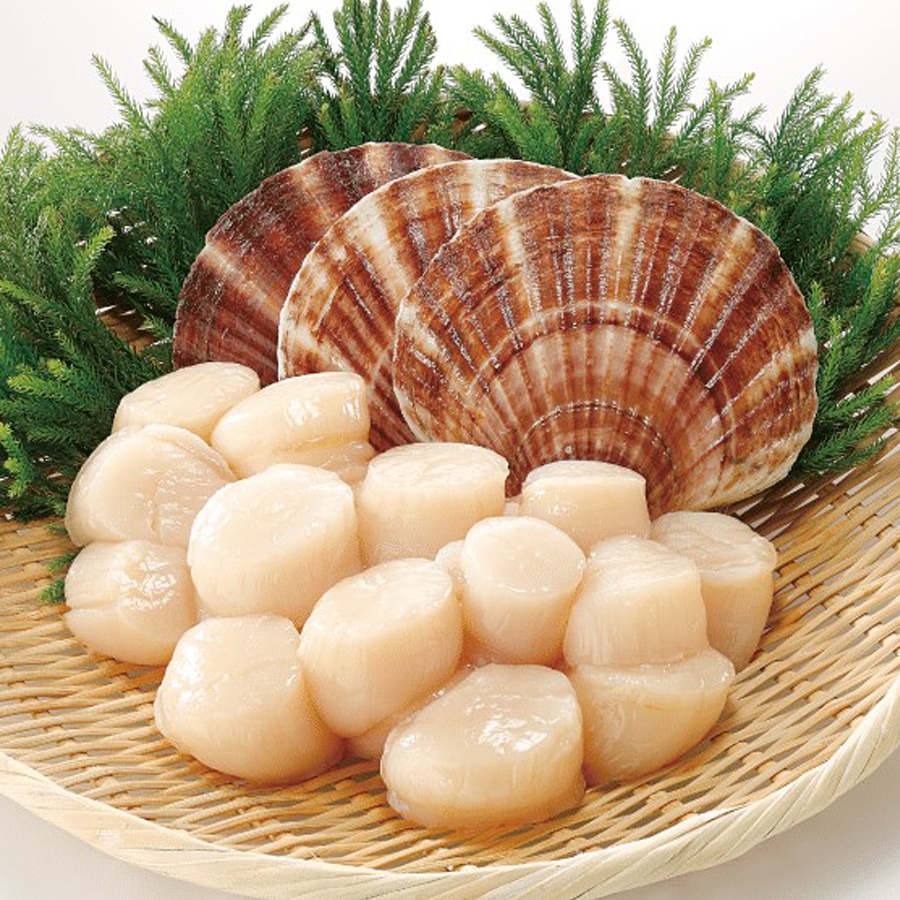 Cồi sò điệp Nhật size nhỏ - 1kg