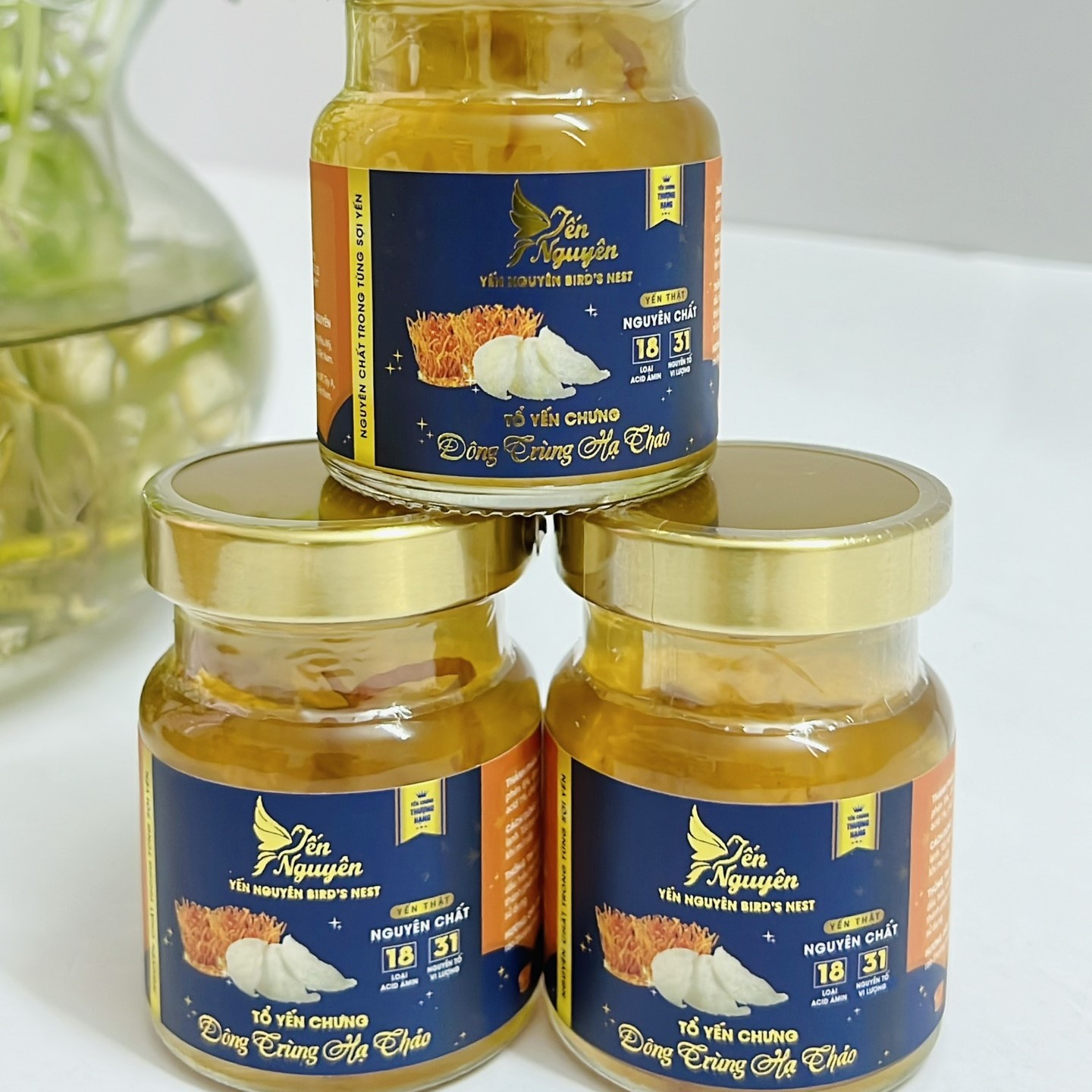 YẾN CHƯNG ĐÔNG TRÙNG HẠ THẢO CAO CẤP 35K/HŨ