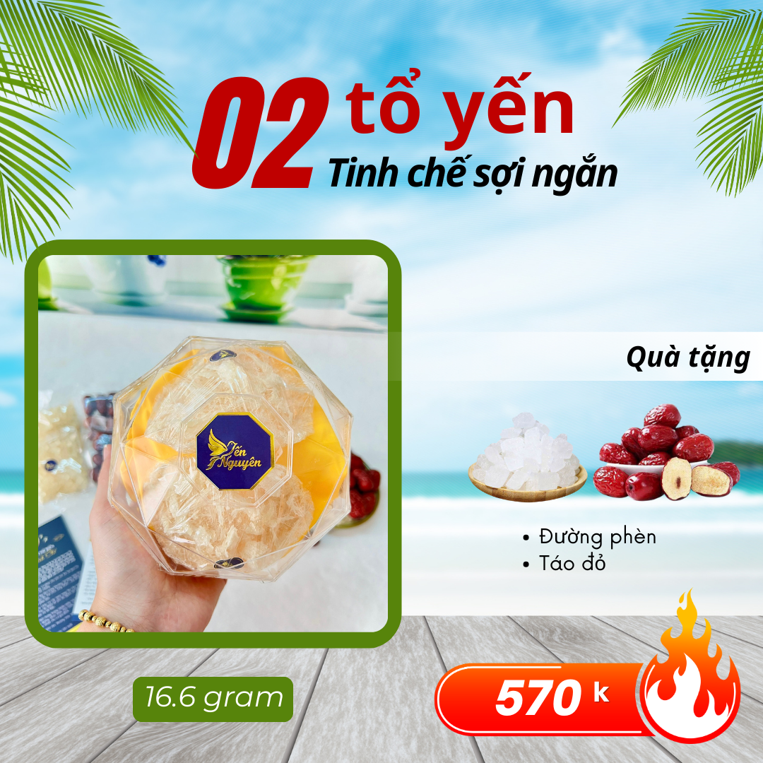 SET 2 TỔ YẾN SỢI NGẮN - TẶNG KÈM GIA VỊ CHƯNG YẾN