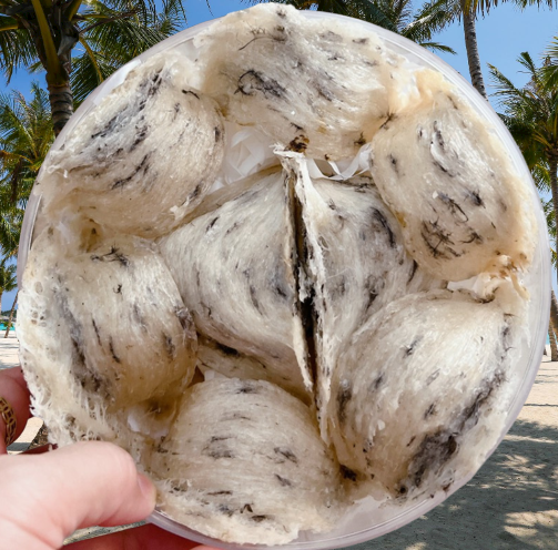 Tổ Yến Thô Khánh Hòa Loại 8-9 Tổ/100gram