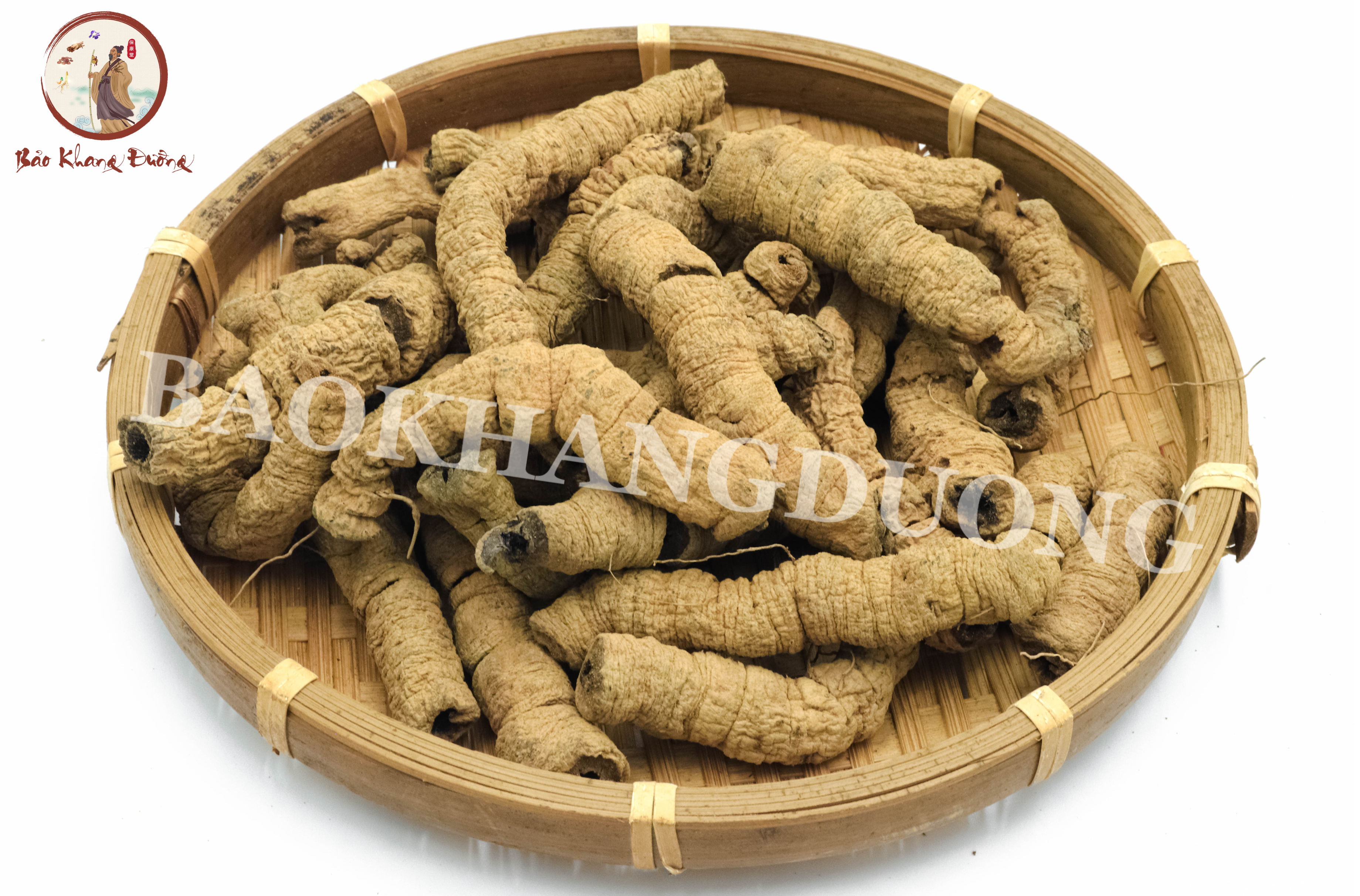 DL - VỊ THUỐC BA KÍCH (巴戟天 ~ bā jǐ tiān)