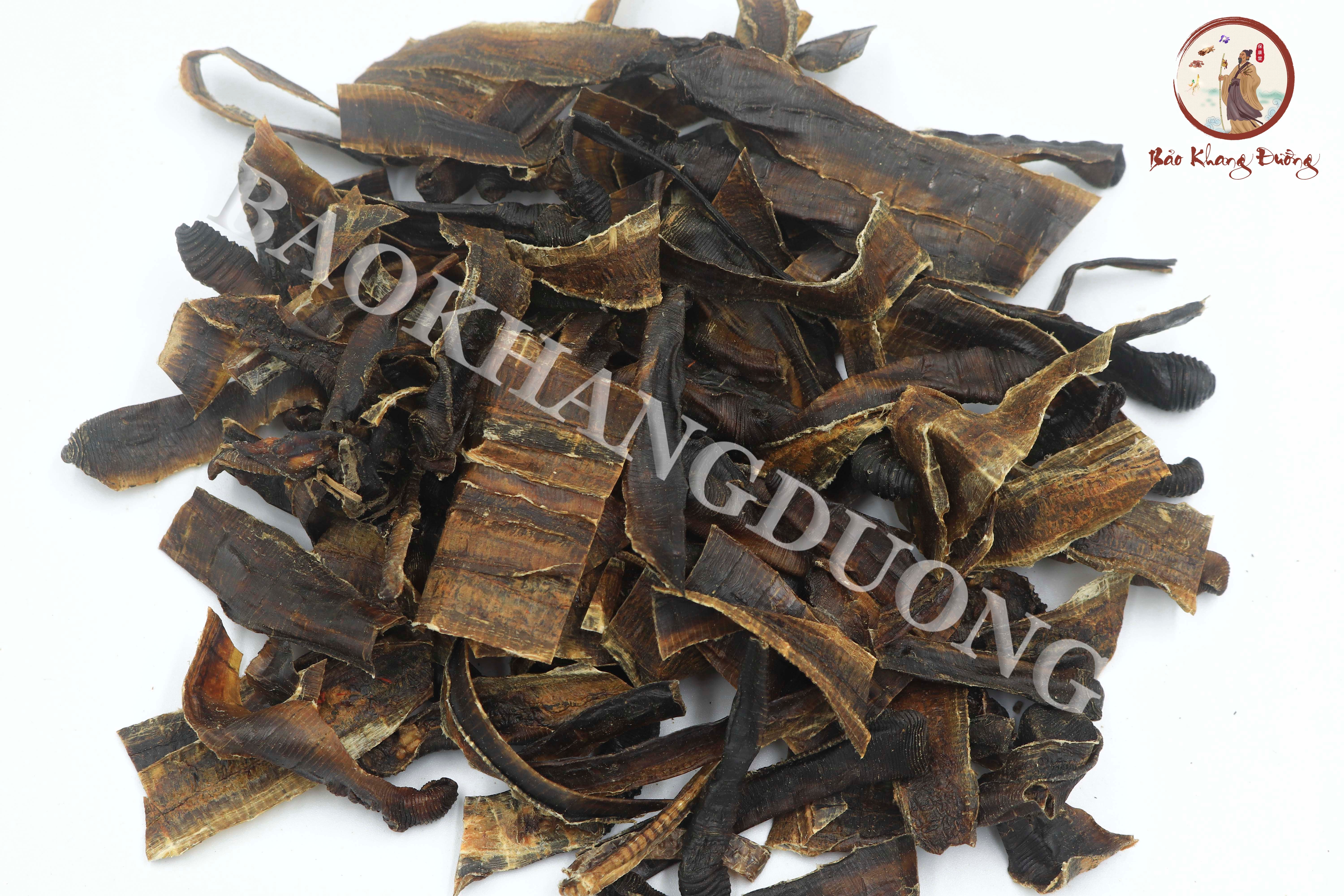 DƯỢC LIỆU ĐỊA LONG 1 - 地龙 (Dì lóng)