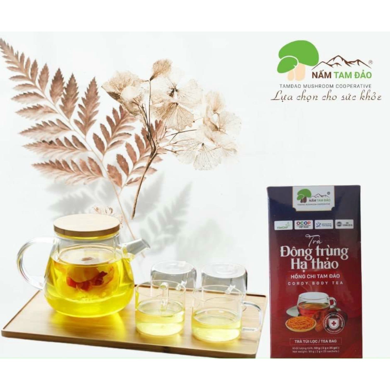 Trà Đông Trùng Hạ Thảo Hồng Chi Tam Đảo Cordy Body Tea da đẹp ,dáng xinh