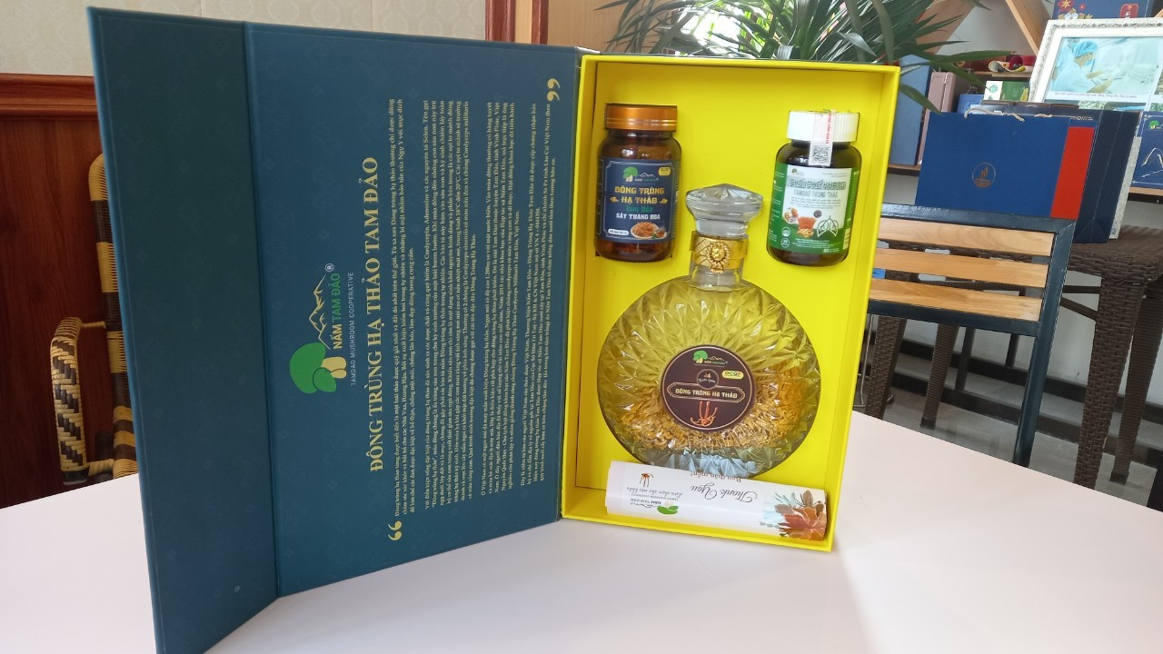 Hộp quà đông trùng hạ thảo Tam Đảo (3 sản phẩm kèm theo) - 1 hộp đông trùng hạ thảo sấy thăng hoa 5g