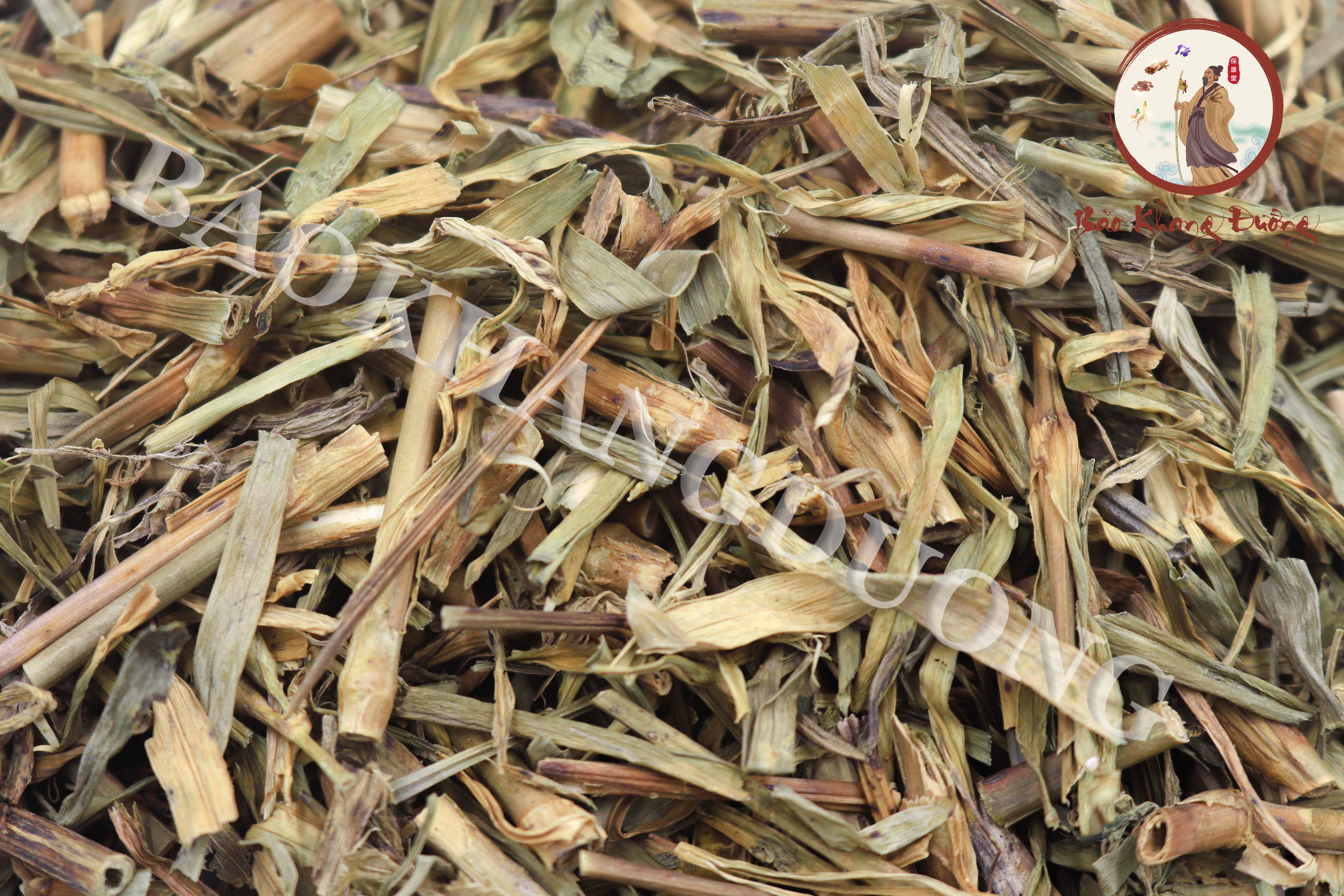 DƯỢC LIỆU CÙ MẠCH- 瞿麦 jù mài