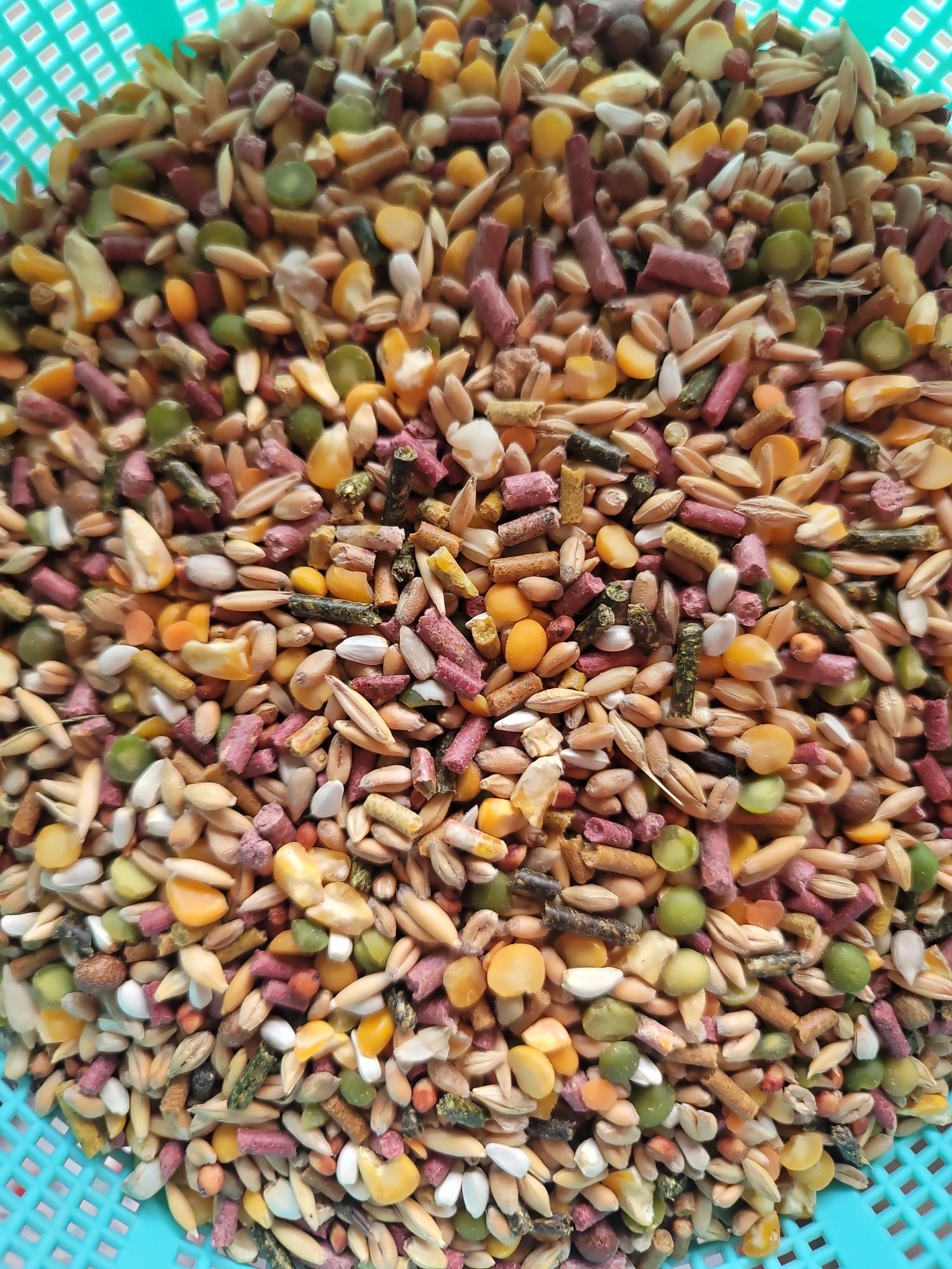 Ngũ cốc đặc biệt 45k