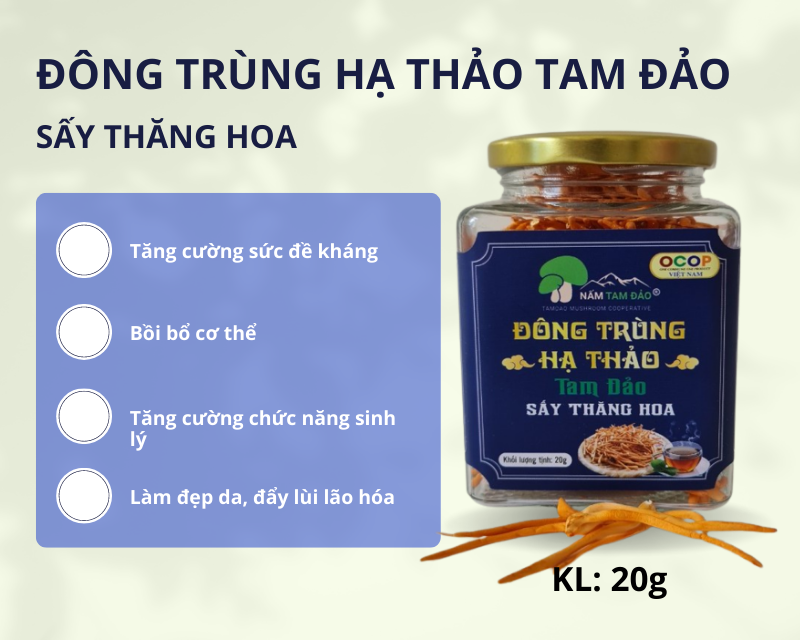 Đông Trùng Hạ Thảo Tam Đảo Sấy Thăng Hoa - 20 G