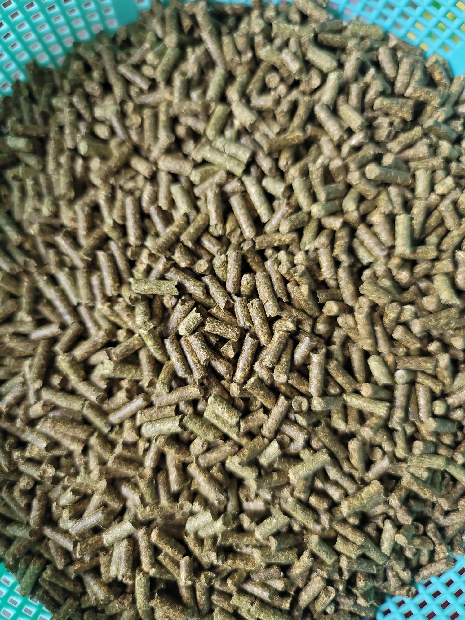 Cỏ nén