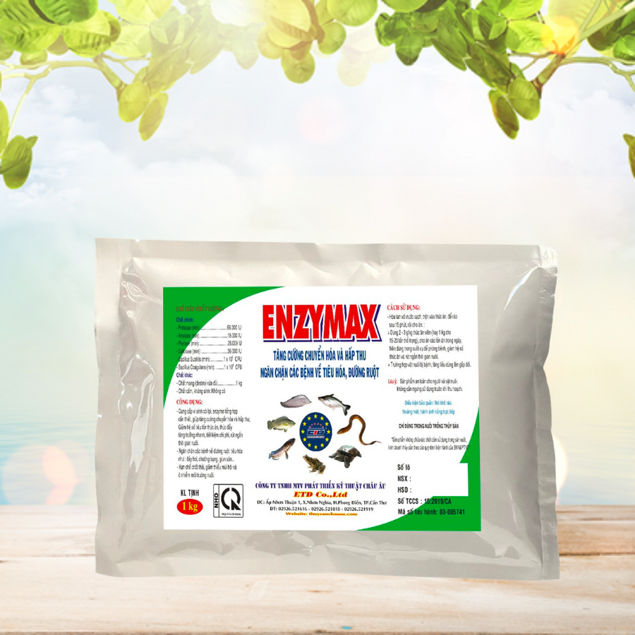 ENZYMAX - Tăng Cường Chuyển Hóa Và Hấp Thu, Ngăn Chặn Các Bệnh Về Tiêu Hóa, Đường Ruột