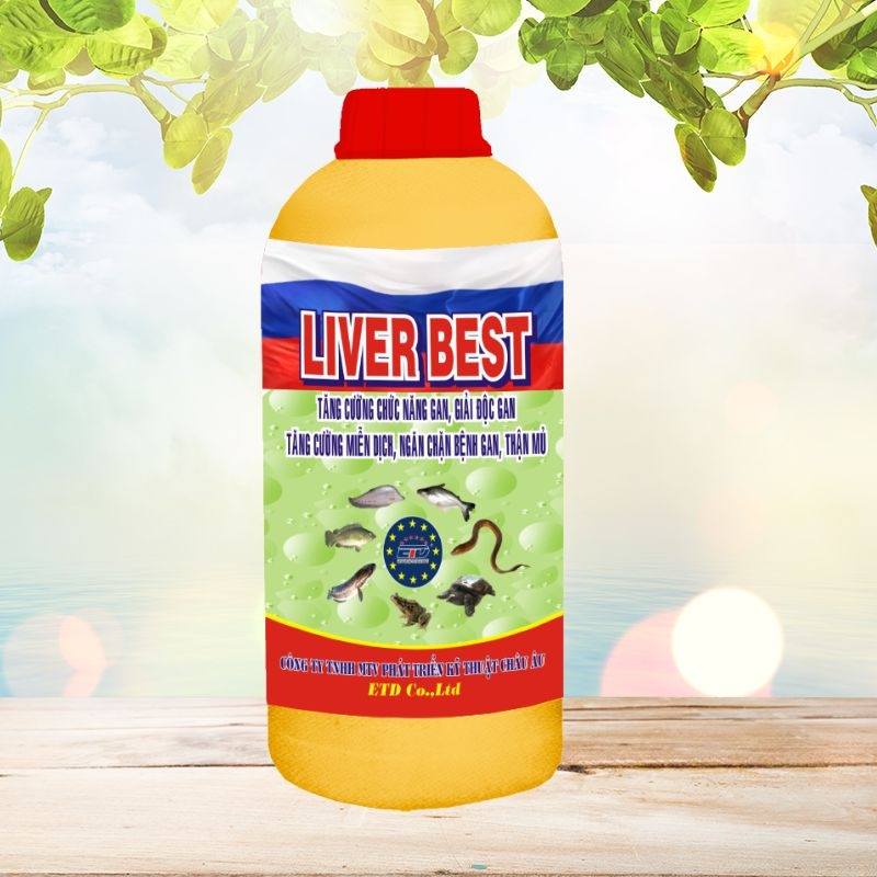 LIVER BEST - Tăng Cường Chức Năng Gan, Tăng Cường Miễn Dịch, Ngăn Chặn Bệnh Gan, Thận Mủ