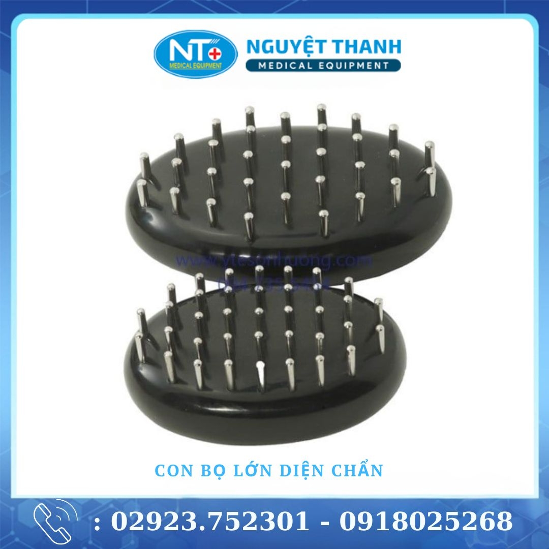 Con Bọ Lớn Diện Chẩn