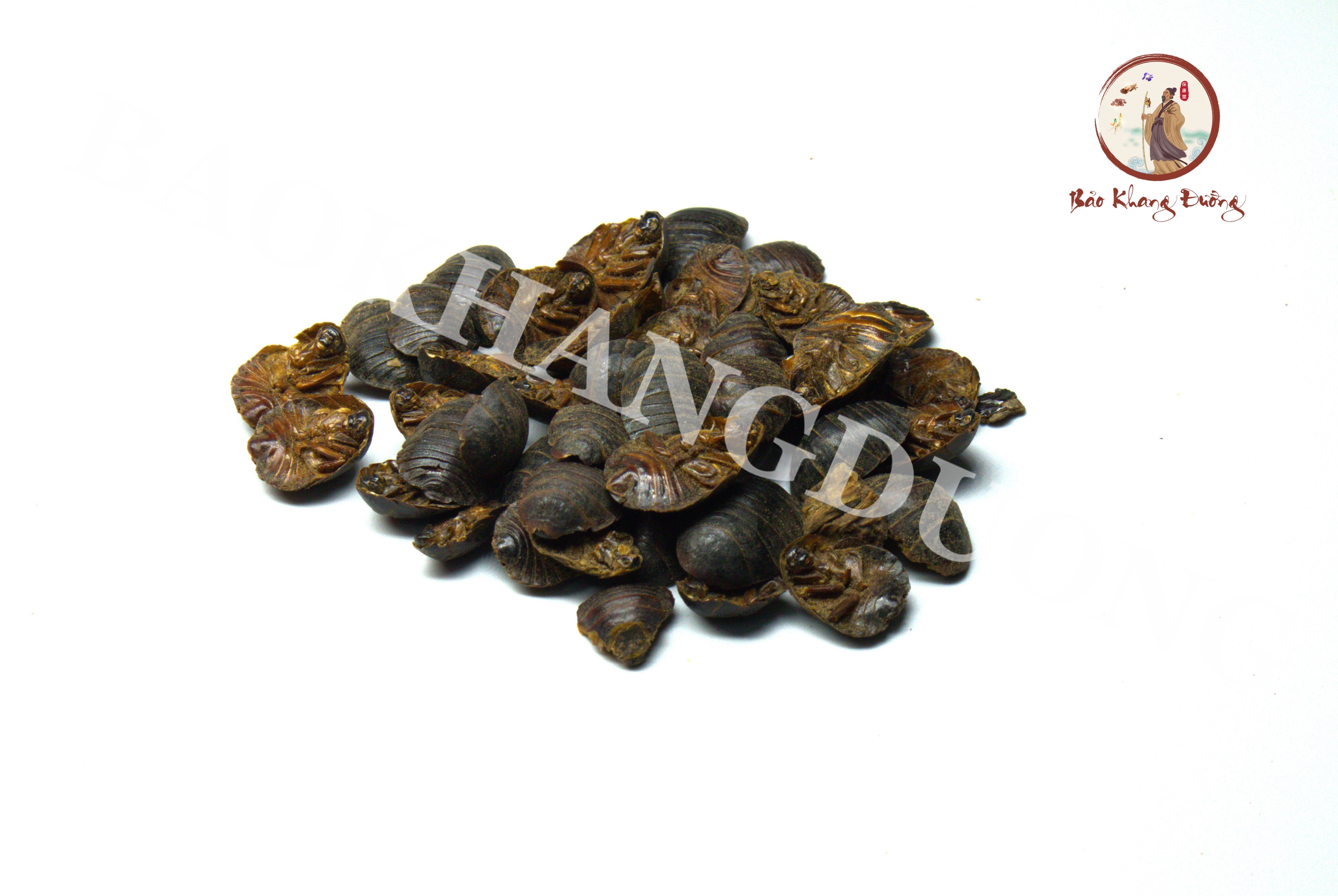 THỔ MIẾT TRÙNG