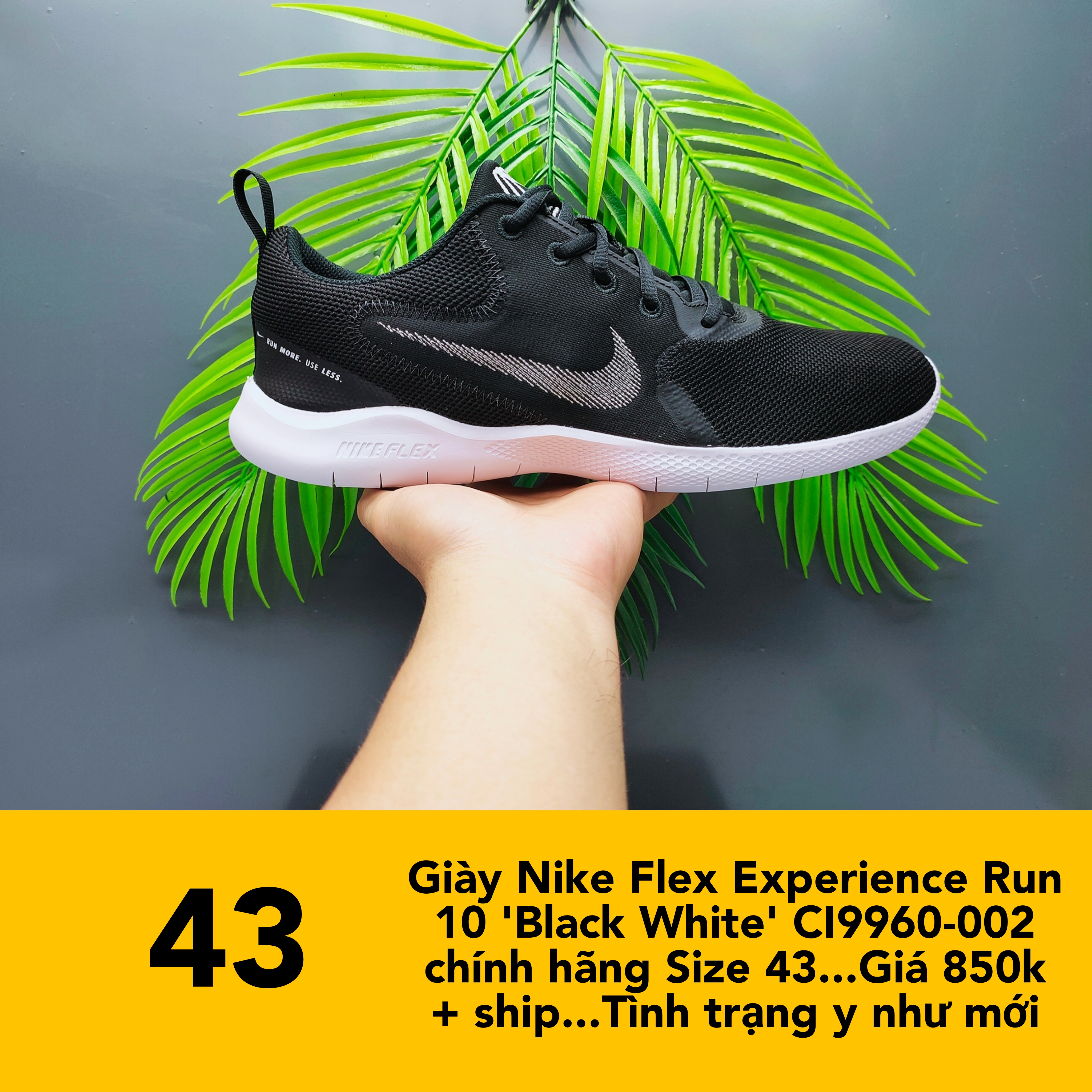 Giày Nike Flex Experience Run 10 'Black White' CI9960-002 chín​h hãng