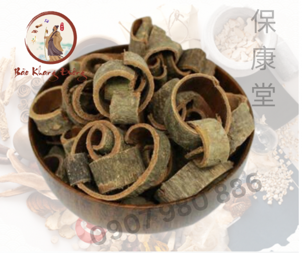 DƯỢC LIỆU HẬU PHÁC - 厚朴 (hòu pǔ)