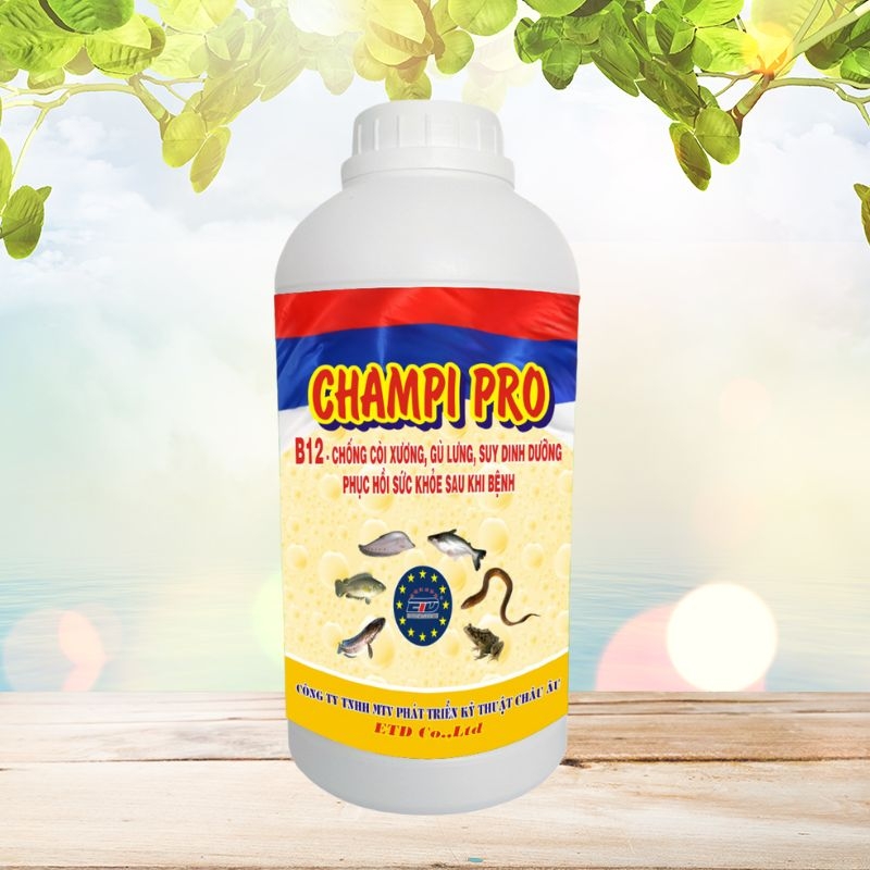 CHAMPI PRO - Chống Còi Xương, Gù Lưng, Suy Dinh Dưỡng