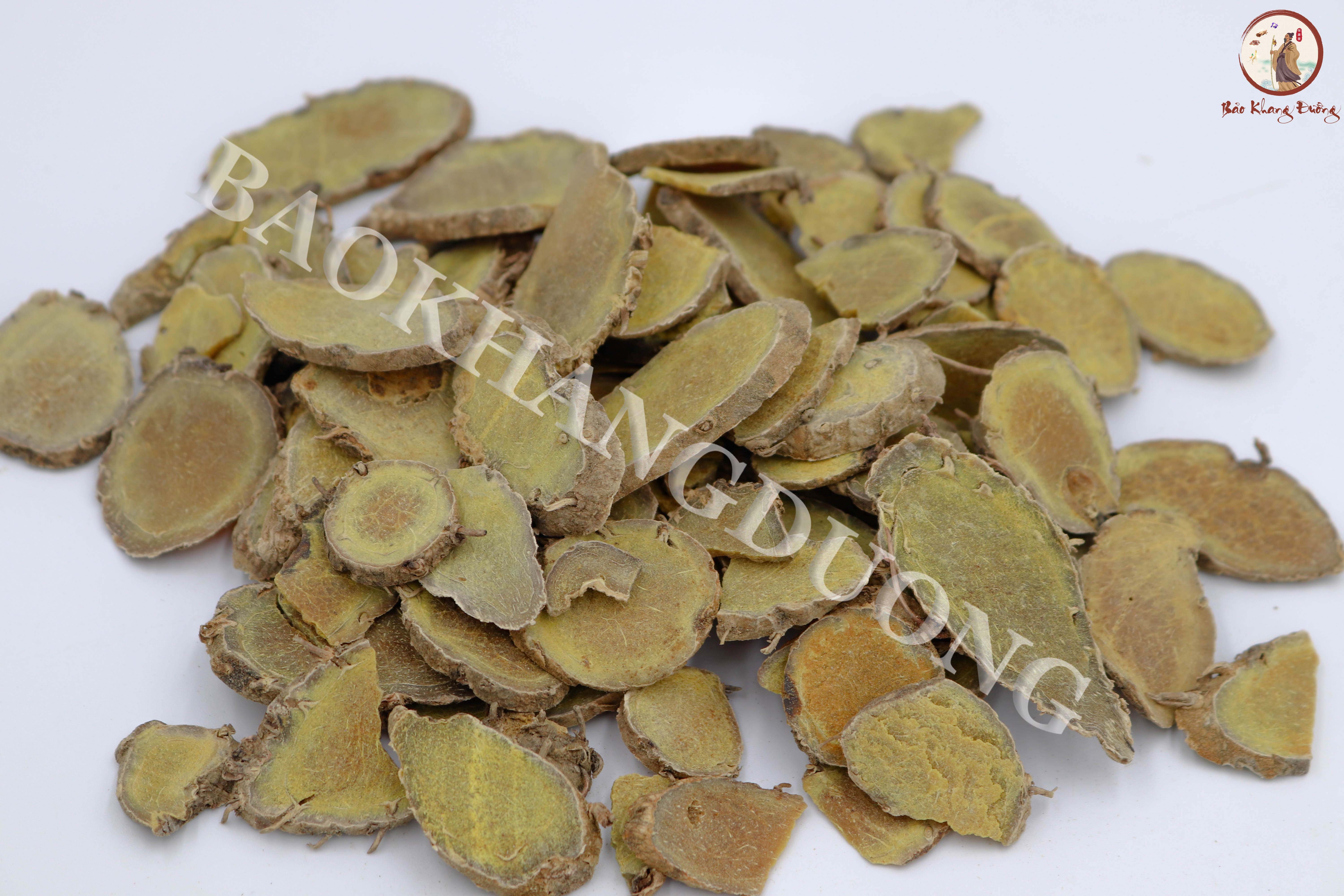DƯỢC LIỆU NGA TRUẬT - 莪术 ézhú