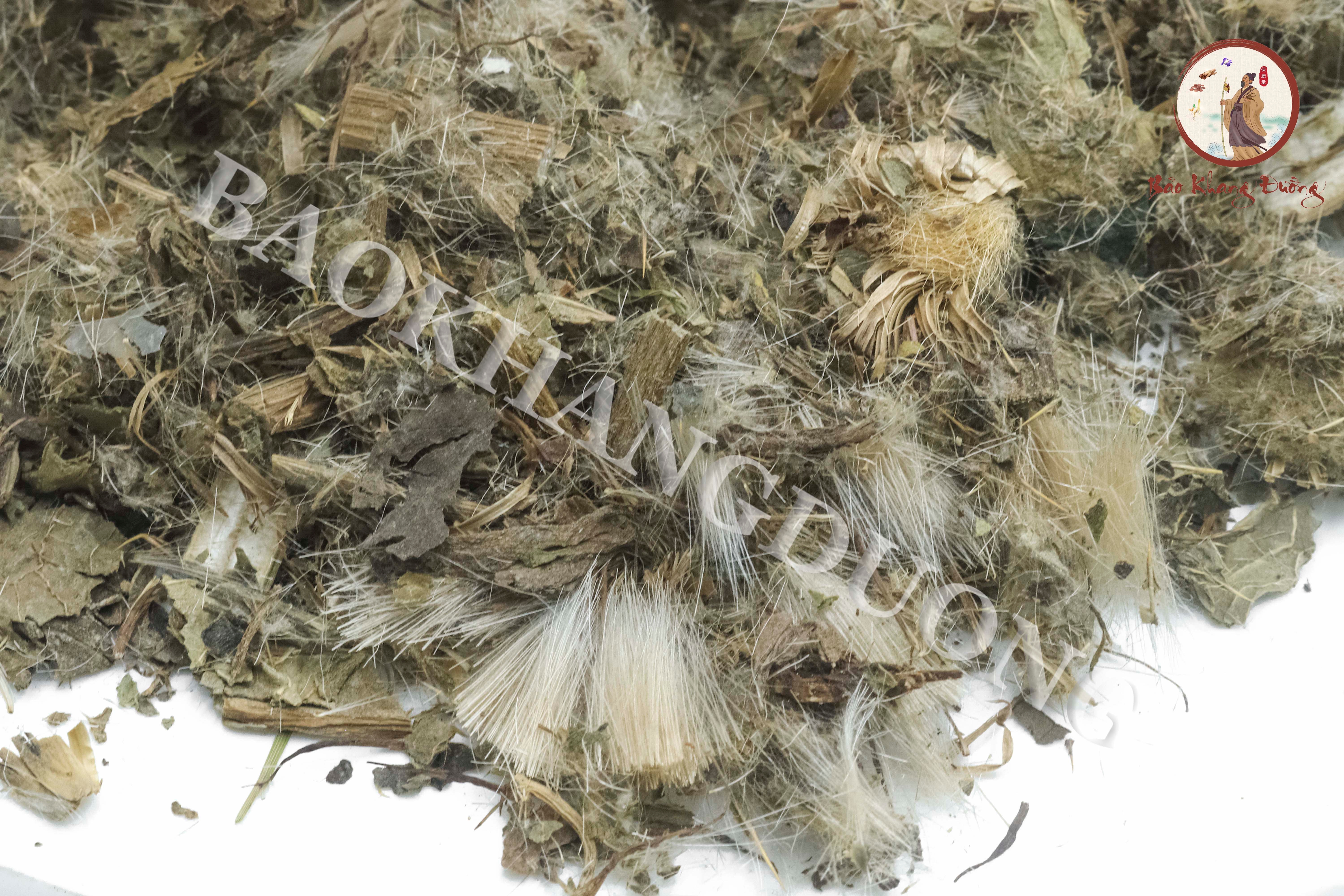 DƯỢC LIỆU ĐẠI KẾ- 大蓟 dà jì