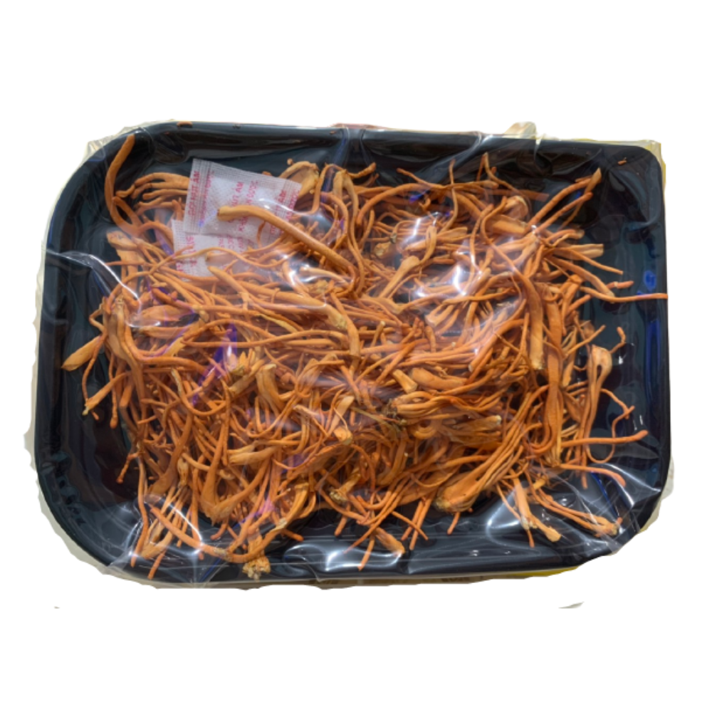 Nấm Đông Trùng Hạ Thảo Đà Lạt Khay 30g