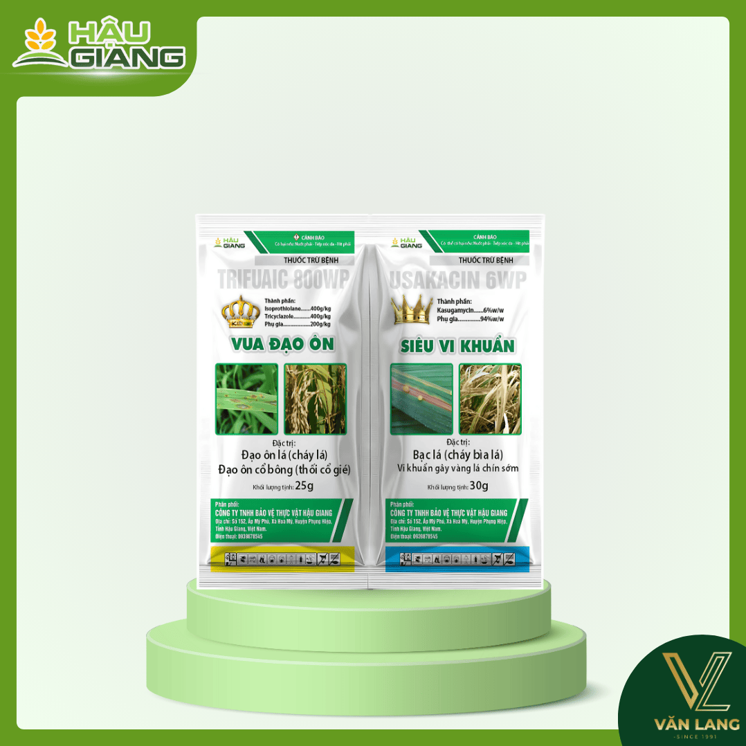 HẬU GIANG - Thuốc trừ bệnh VUA ĐẠO ÔN SIÊU VI KHUẨN 55GR