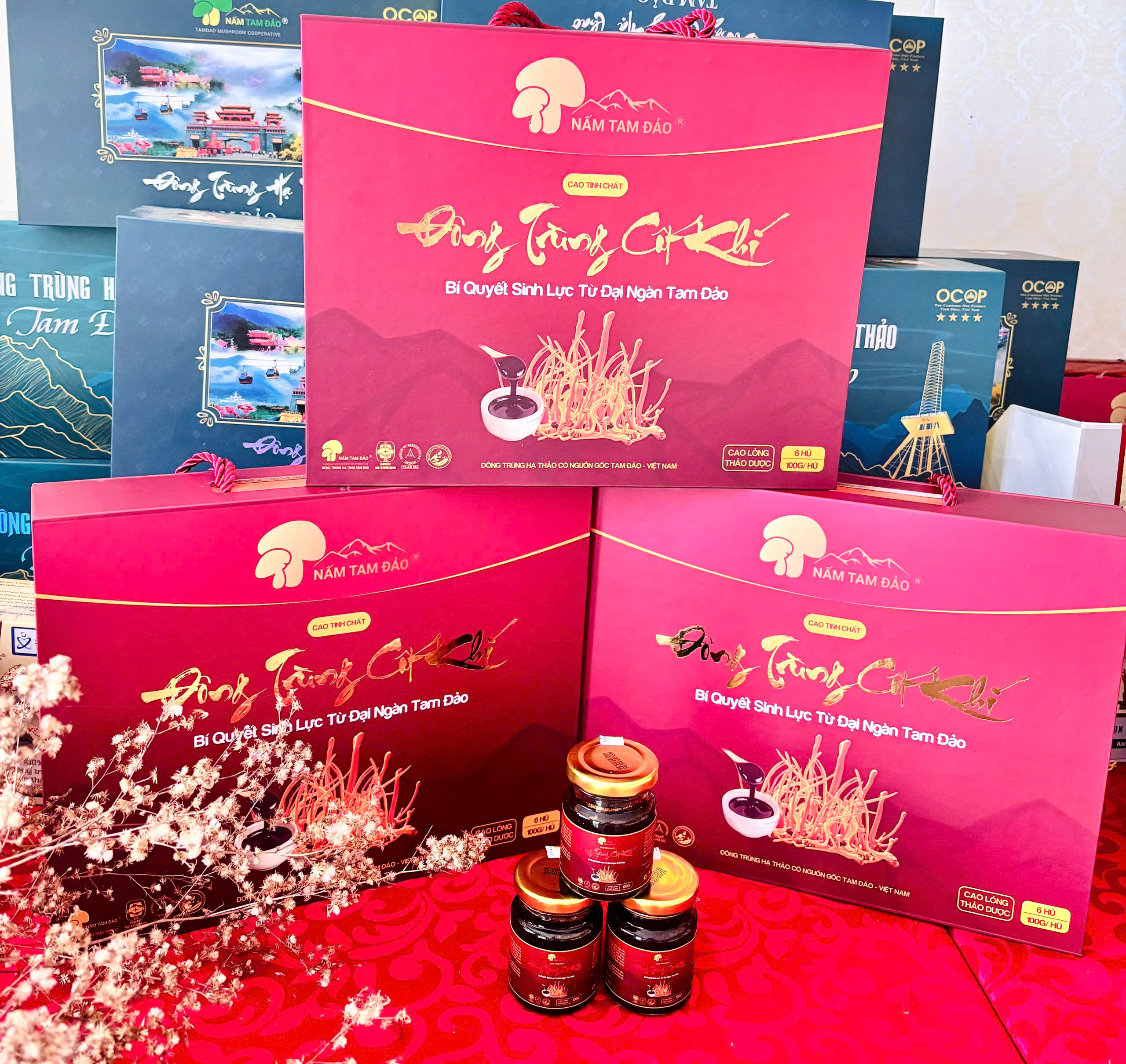 Cao tinh chất Đông trùng cốt khí (Hộp 6 hũ x 100g)